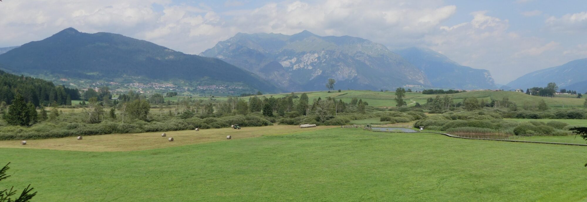 BIOTOPO DI FIAVE' - VEDUTA DAL PUNTO PANORAMICO