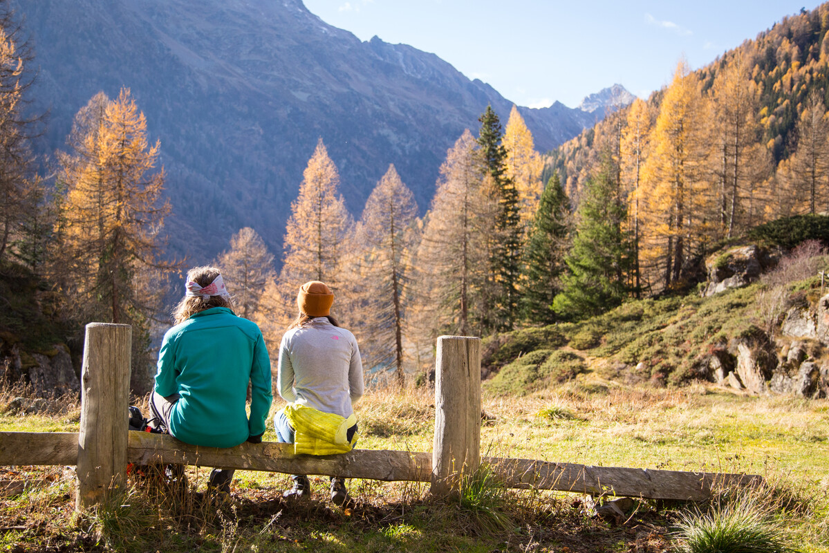 val-di-sole---pian-pal~_35293