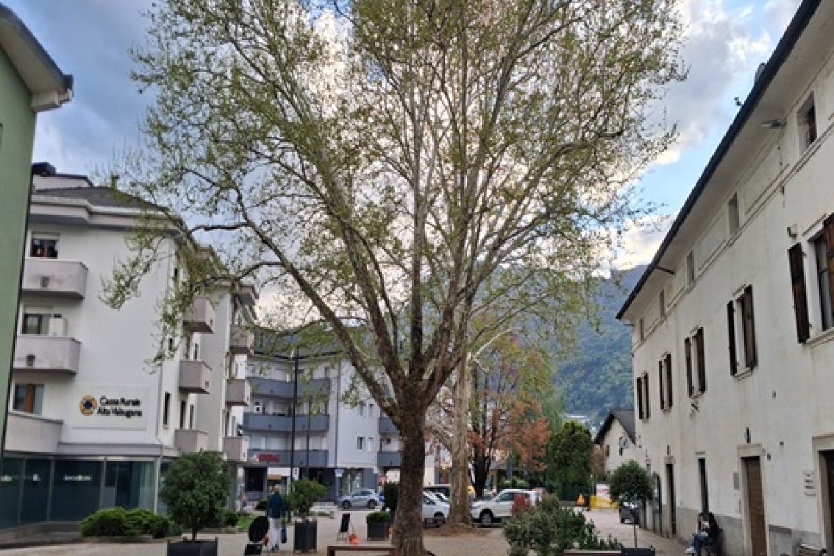PIAZZA SERRA