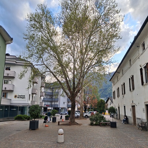 PIAZZA SERRA