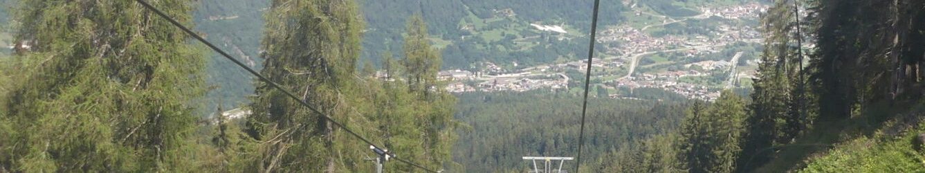 CABINOVIA FOLGARIDA
